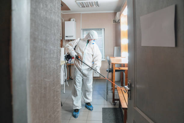 Best Black Mold Removal  in Russell, GA