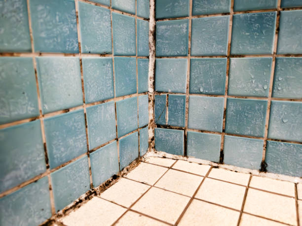 Best Airborne Mold Testing  in Russell, GA