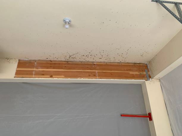 Best Indoor Air Quality Assessment  in Russell, GA