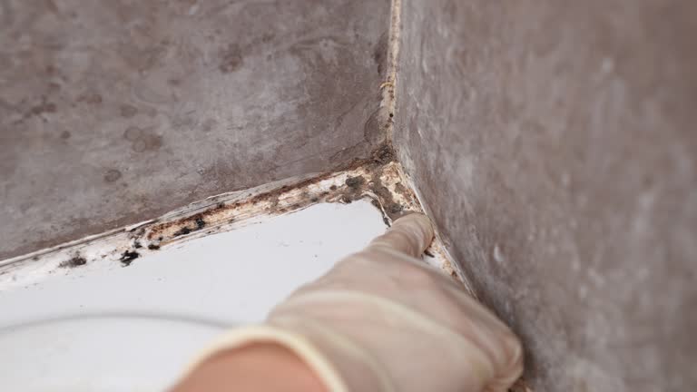 Mold Remediation for Rental Properties in Russell, GA